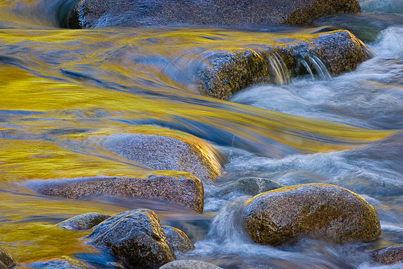 LIQUID GOLD