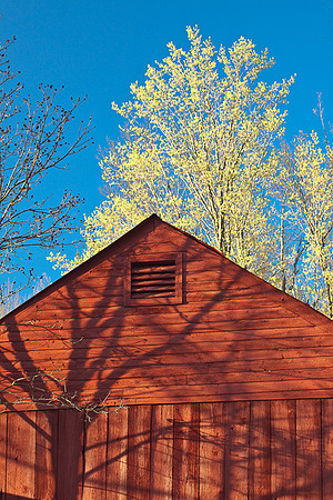 Red and Yellow
